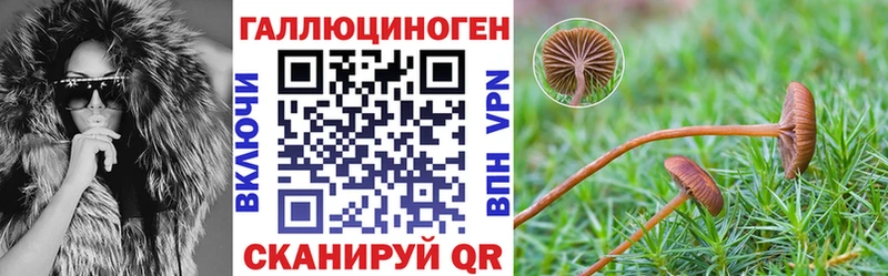 Псилоцибиновые грибы GOLDEN TEACHER  Нижние Серги 