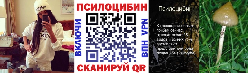 Галлюциногенные грибы Psilocybe Нижние Серги